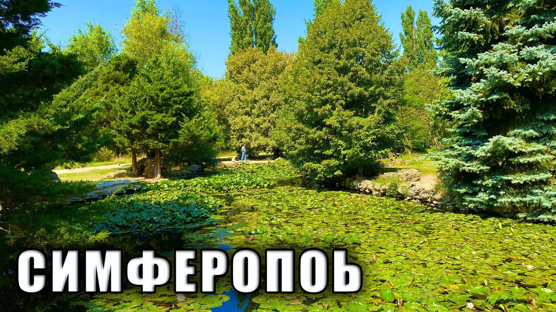 Симферополь Ботанический сад при Крымском Федеральном Университете #КФУ, бывший Таврический Национал