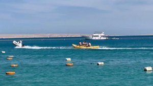Pickalbatros White Beach Resort - Hurghada 5*🥰ПЛЯЖ СУПЕР👍😍ТЕРИТОРІЯ СУПЕР👍😍ГОТЕЛЬ СУПЕР👍🥰2024