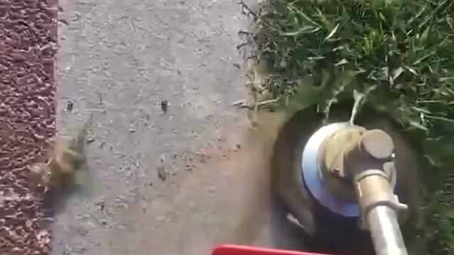 Садовая травокосилка со стальной проволокой! смотреть онлайн