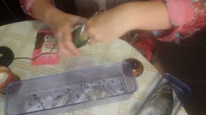 Рецепт селёдки)