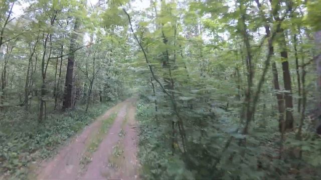 Action camera Yi 4K + стабилизатор Feiyu FY-WG Wearable Gimbal смотреть онлайн