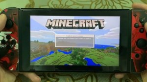 Test Game Minecraft On Nintendo Switch