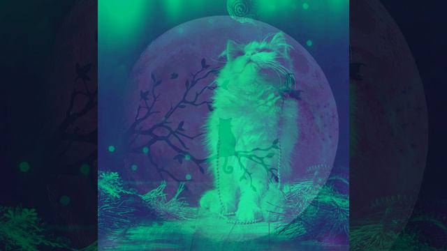 Мечты (Милые кошки) смотреть онлайн