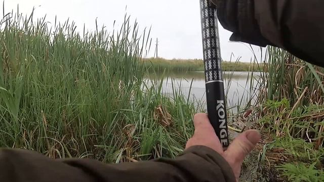 Линь и хороший карась на поплавок. Рыбалка по-быстрому. смотреть онлайн