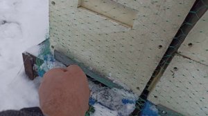 Ч.1./Зимовка пчел 2021.Защита от синичек. Клюют ли синички  ульи ППС и ППУ.