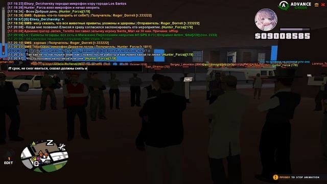 открытие приюта для бездомных животных