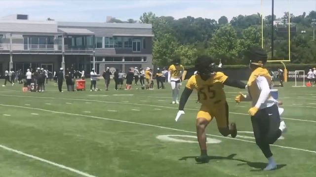 Steelers Sights and Sounds: Myles Jack, Devin Bush Work on Coverage Drills Led by Brian Flores | SN смотреть онлайн