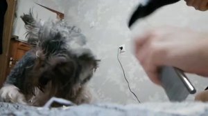 МОЙ ВЕЧЕР! 😻😻ЧТО Я ДЕЛАЮ ПЕРЕД СНОМ?! МОИ ПРОЦИДУРЫ💞