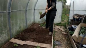 Высаживаем томаты грамотно вместе с Марией Архиповой (АРКОНА)