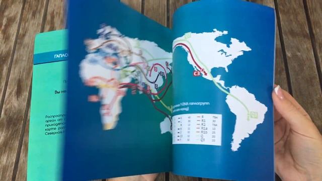 Результат ДНК теста: Генетическая Генеалогия смотреть онлайн