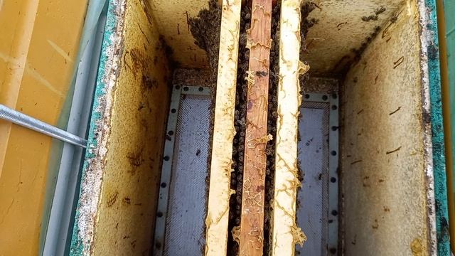 Потери продолжаются. Причины установленны. смотреть онлайн