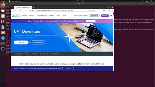 Running UFT Developer Tests using docker containers in standalone mode смотреть онлайн
