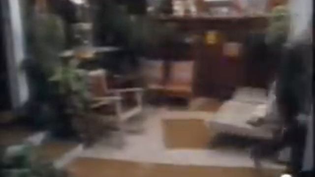 Bill Mollison - 6 - Huerta en Casa vs Costos de Distribucion