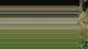 Фото Михаила Горшенёва с первой женой Анфисой. Редкие фото Ольги Горшенёвой вдовы панк-рокера