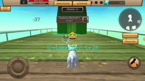 MUST WATCH!!! Cat Simulator animal life June 2021, Best cat life Luka