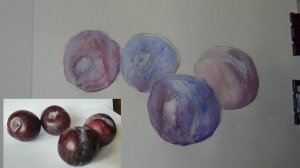 Акварель для начинающих. Урок рисования с натуры. Фрукты. Слива.