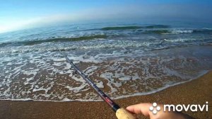 Рыбалка на Чёрном море!!! Ловим Саргана на бомбарду!!!