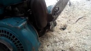 Бензопила Дружба в работе