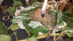 ЧИСТКА ОТ МОРОКА