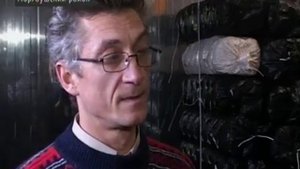 В Чувашии круглый год выращивают вешенки