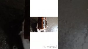 Чистка сетки бака Мерс 210 гул,жужжание бензонасоса! Была забита сетка!, Решение.