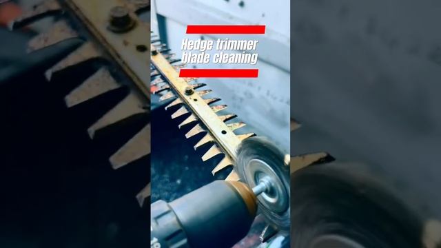 Hedge trimmer blade cleaning #hedgetrimmer #makita