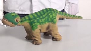 10 самых крутых РОБОТОВ домашних ЖИВОТНЫХ