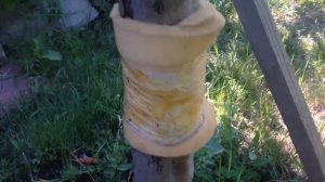 Ловчие пояса от муравьев