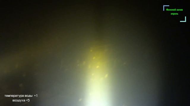 ??Подводная охота на Финском заливе. Открытие 2021. смотреть онлайн