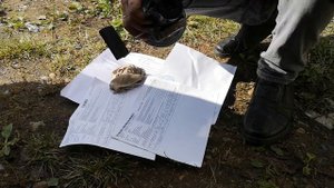Замена топливного насоса ваз 2112 своими руками