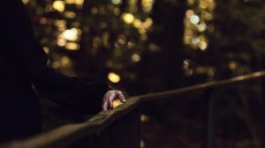 Chromatics. Touch Red