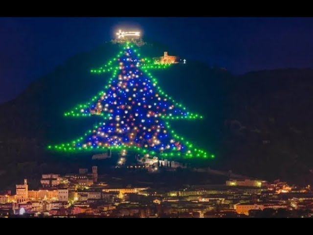 В Италии зажгли самую большую в мире рождественскую ель