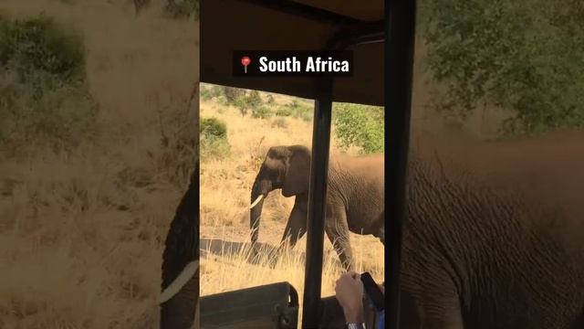 Pilanesberg National Park, South Africa ??