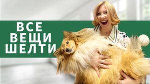 Разбираем ВСЕ вещи ШЕЛТИ