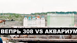 Вепрь 308 win. Выстрел в Аквариум