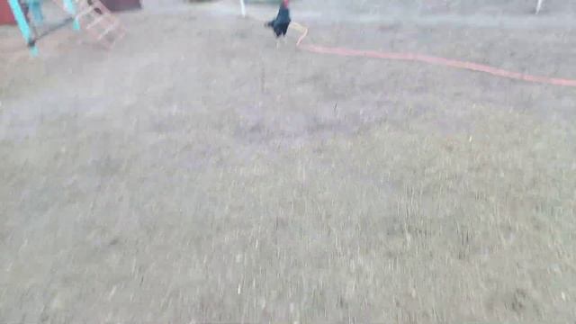 Первые подснежники... смотреть онлайн