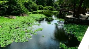 Камбоджа,Сиануквиль,отель,море,сказочно красиво,часть 21