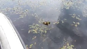 Рыбалка на Иркутском ВДХР (Курминский залив)