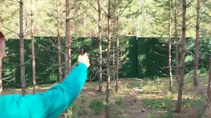 Выходим с проектом на лесной участок.  Смотрим всё в натуре. Ландшафтный дизайн