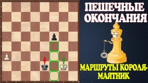 Шахматы. Учебник эндшпиля №14. Пешечные окончания. Маршруты короля - Маятник