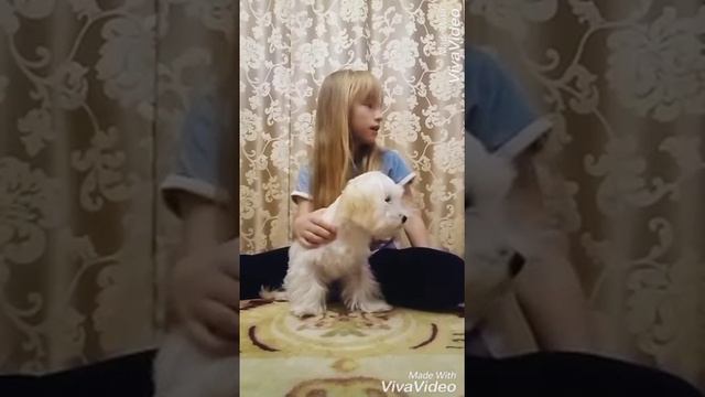 Мои животные/Тишка, Мила и т. д смотреть онлайн