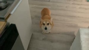 ?Как мы встретили новый год 2023 ?подарки ?погода подвела ?VLOG