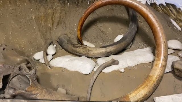 Встретил МАМОНТА в Сибири смотреть онлайн