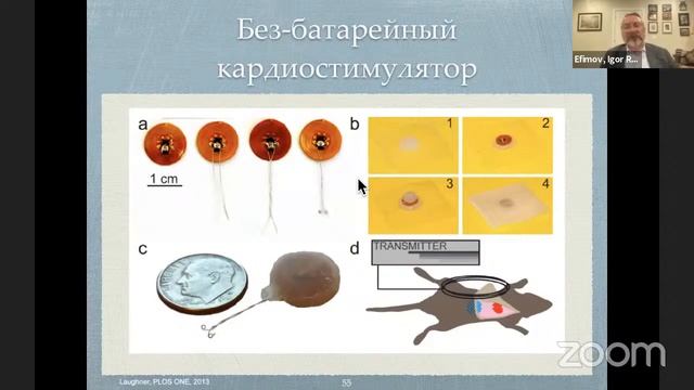 Игорь Ефимов. «Гибкая и растворимая биоэлектроника для здоровья сердца» смотреть онлайн