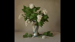 Естественное освещение в фото-натюрморте. (Урок №3)