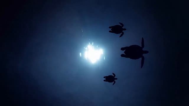 Музыка для медитации и для йоги, музыка для сна и для снятия стресса.- Успокаивающая музыка смотреть онлайн