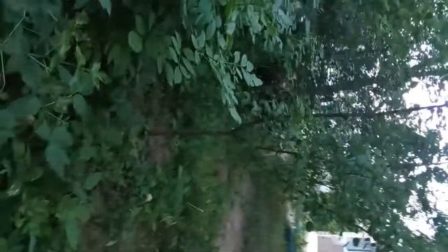 17 июля 2022 г. смотреть онлайн