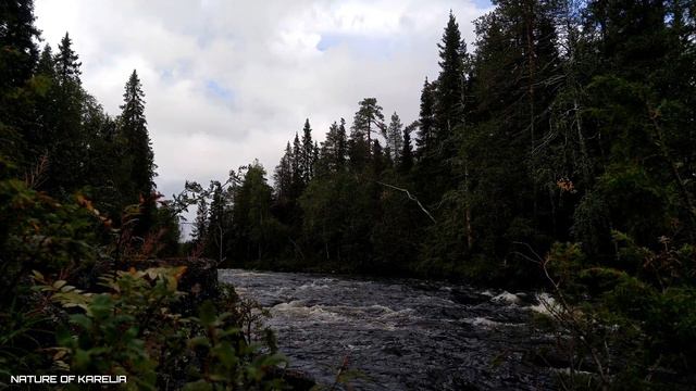 Northern Karelia. Frowning river / Северная Карелия. Хмурая река