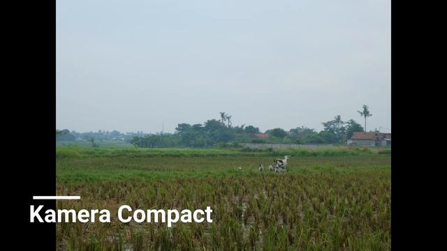 Perbandingan Hasil FOTO Kamera - SmartPhone Compact DSLR