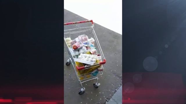 Магазин ПЯТЁРОЧКА выбрасывает продукты в мусорку Видео нашего подписчика смотреть онлайн